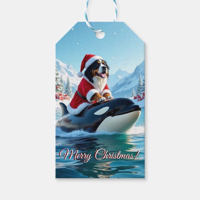 Etiqueta Para Presente Bernese Mountain Dog e Orca Christmas (Frente)