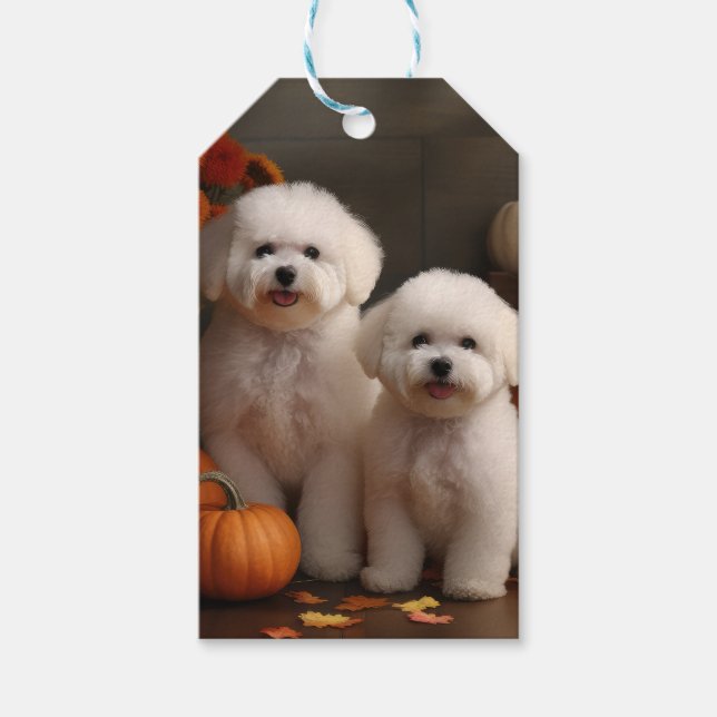 Etiqueta Para Presente Bichon Frise Puppy Autumn Delight Pumpkin (Frente)