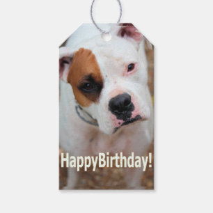 Etiqueta Para Presente Birthday Boop