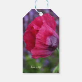 Etiqueta Para Presente Bonito PInk e Flor de Papoila Roxo
