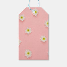 Bonito rosa e design Daisy