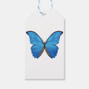 Etiqueta Para Presente Borboleta Azul Morpho