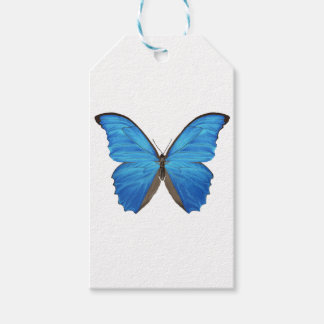 Etiqueta Para Presente Borboleta Azul Morpho