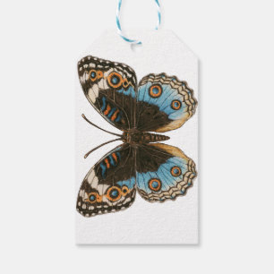 Etiqueta Para Presente Borboleta Azul Pansy