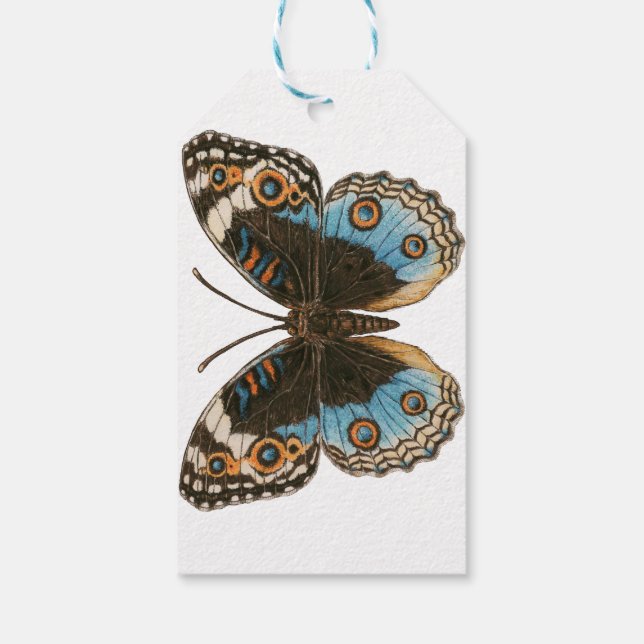 Etiqueta Para Presente Borboleta Azul Pansy (Verso)