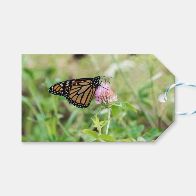 Etiqueta Para Presente Borboleta Monarca (Frente (horizontal))