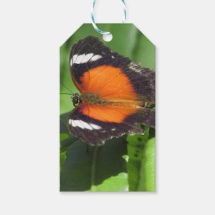 Etiqueta Para Presente Borboleta tropical