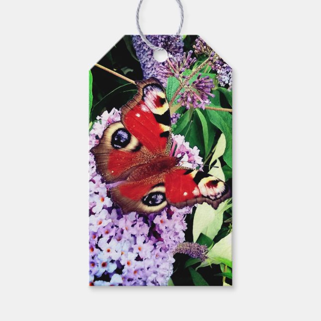 Etiqueta Para Presente Borboleta vermelha (Frente)