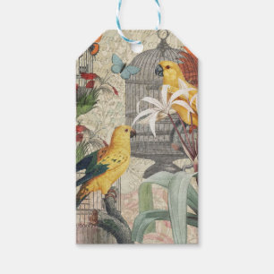 Etiqueta Para Presente Botânica Vintage de Pássaros Natureza Antiga Tropi