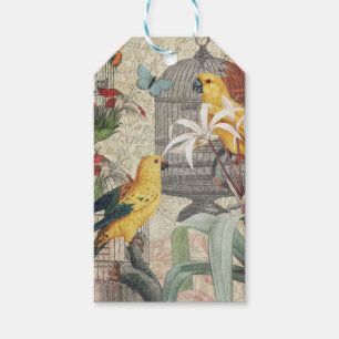 Etiqueta Para Presente Botânica Vintage de Pássaros Natureza Antiga Tropi