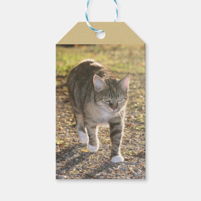 Etiqueta Para Presente Brin (Frente)