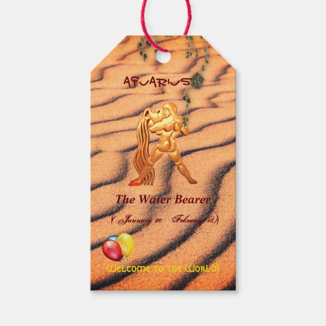 Etiqueta Para Presente Brincadeiras do Aquário Novo Bebê (Frente)