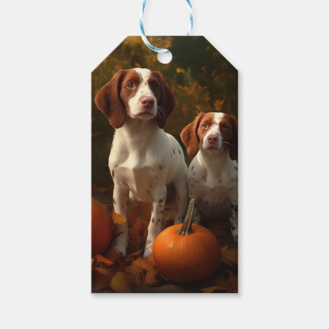 Etiqueta Para Presente Brittany Spaniel Puppy Autumn Delight Pumpkin (Frente)