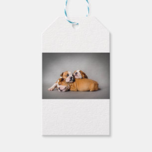 Etiqueta Para Presente Buldogue inglês do sono