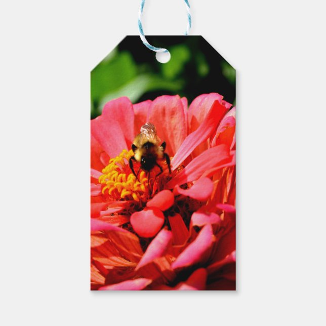 Etiqueta Para Presente Bumblebee floral vermelho elegante zinnia (Frente)