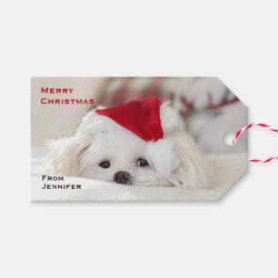 Etiqueta Para Presente Cachorro Branco giro em chapéu vermelho de Natal