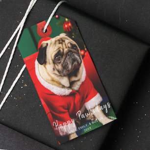 Etiqueta Para Presente Cachorro Pimentão Cachorro Pet Foto Pobre Vermelho