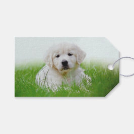 Etiqueta Para Presente Cachorro Verde Cachorro Cachorro Trapalhado Retrie
