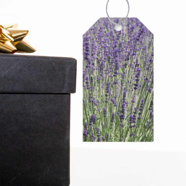 Etiqueta Para Presente Campos de Lavanda Roxo Floral (In Situ)