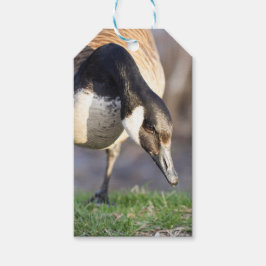 Etiqueta Para Presente Canadá Goos