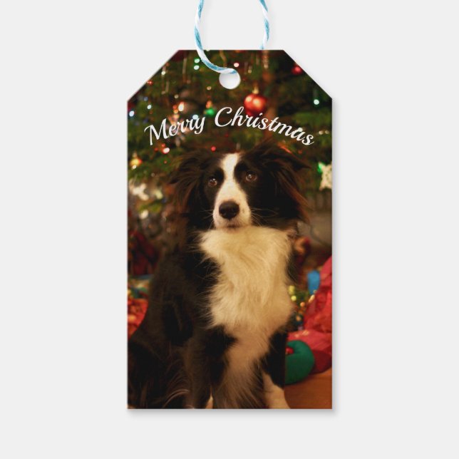 Etiqueta Para Presente Cão de Árvore de Natal (Frente)