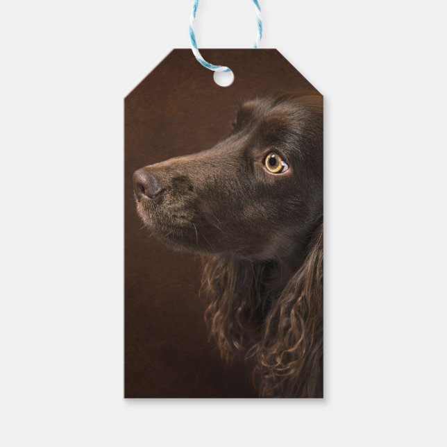 Etiqueta Para Presente Cão De Cabelo Castanho (Frente)