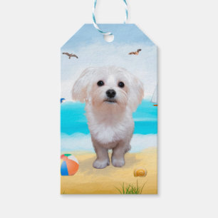 Etiqueta Para Presente Cão Maltês na Praia