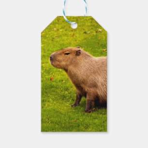Etiqueta Para Presente Capivara