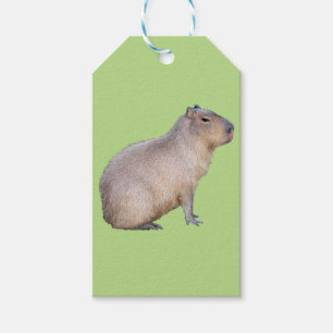 Etiqueta Para Presente Capybara