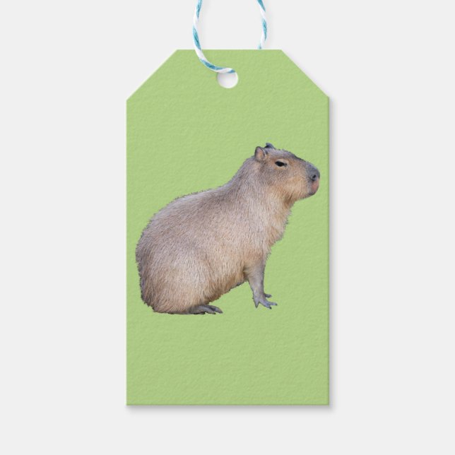 Etiqueta Para Presente Capybara (Frente)