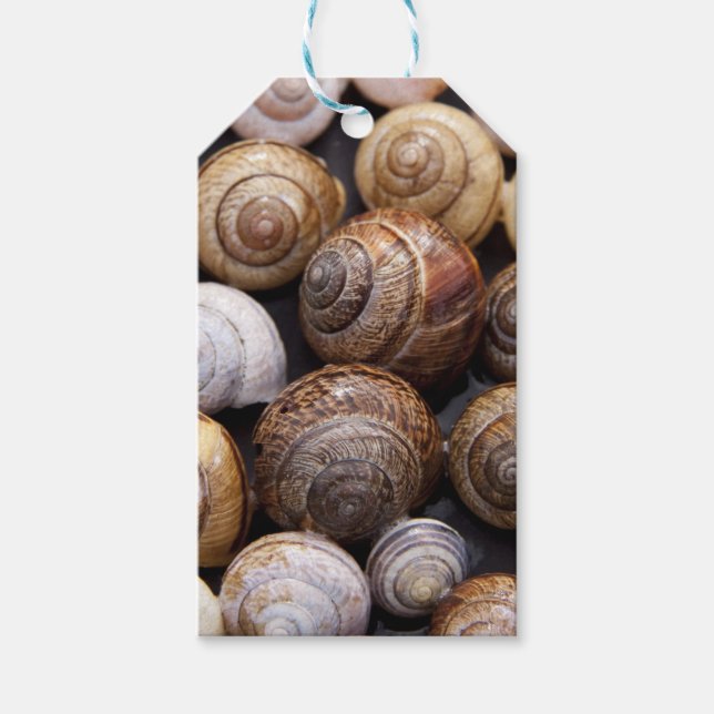 Etiqueta Para Presente Caracóis (Frente)