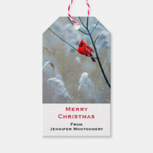 Etiqueta Para Presente Cardeal Vermelho no Natal Foto Natal
