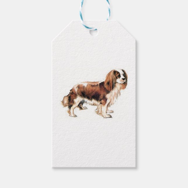 Etiqueta Para Presente Cavalier King Charles Spaniel (Frente)