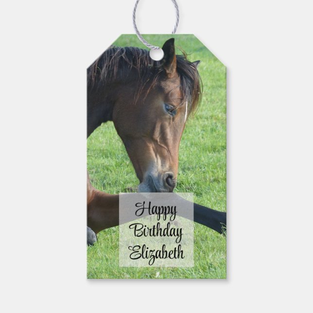 Etiqueta Para Presente Cavalo castanho bonito no aniversário da grama (Frente)