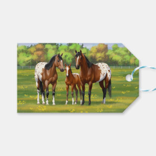Etiqueta Para Presente Cavalos De Marrom Da Baía Appaloosa Em Pastagem D