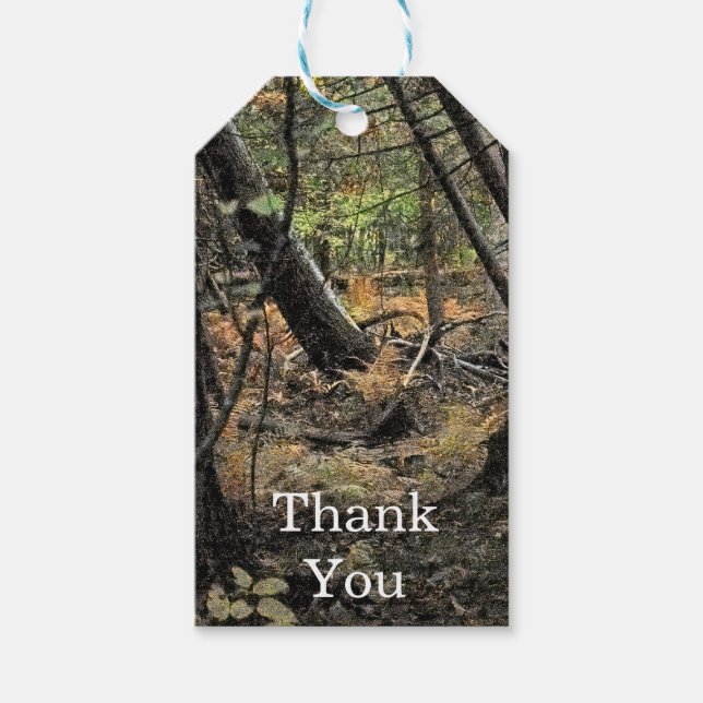 Etiqueta Para Presente Cena de floresta outonal              (Frente)