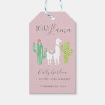 Chá de fraldas de Llama bonito - Sucultura garota 