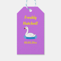 Chá de fraldas de Menina do Tema de Swan Bonito