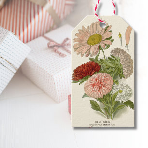 Etiqueta Para Presente China Asters - Exquisite Vintage Floral Botânica