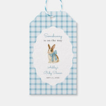 Chuva de Bebê Menino Bunny Azul Vintage