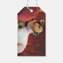 Etiqueta Para Presente Clássico