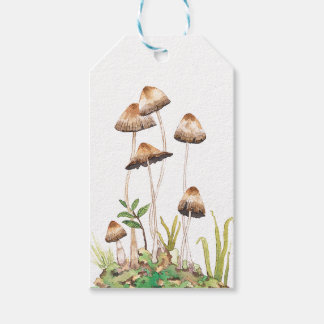 Etiqueta Para Presente Cogumelos Florestais Castanhos