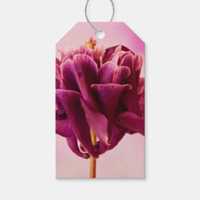 Etiqueta Para Presente Columbina Rosa Burgundy (Frente)