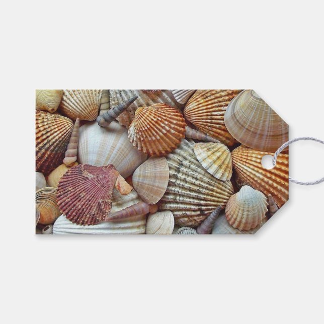 Etiqueta Para Presente Conchas do Mar (Frente (horizontal))