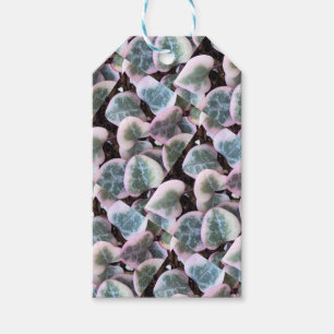 Etiqueta Para Presente Corda Variegated de Tag do presente dos corações