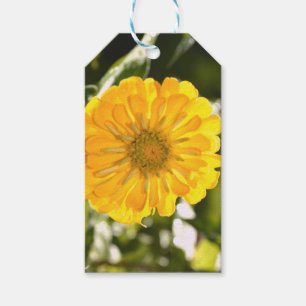 Etiqueta Para Presente Cosmo amarelo, flor amarela, floral amarelo