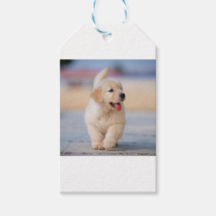 Etiqueta Para Presente Crie seu próprio animal de estimação personalizado