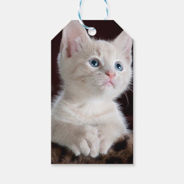 Etiqueta Para Presente Cristóvão Branco Vulnerável (Frente)