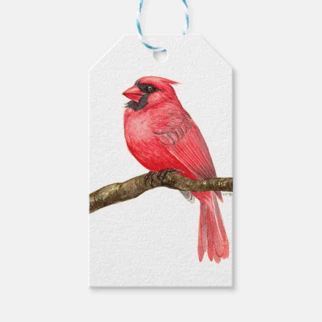 Etiqueta Para Presente Cura-d-água de aves cardinhas (Frente)