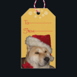 Etiqueta Para Presente Cute akita dog vestido de natal<br><div class="desc">O nome desta linda akita japonesa nesta grande etiqueta de presente personalizável do Natal chama-se Ásia, ela é uma akita vermelha, parte americana do tipo akita e parte japonesa do tipo akita. A Ásia é uma cadela de resgate e ela adora ser mimada na época de natal, ela parece muito...</div>